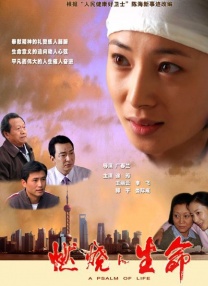 任你躁免费高清视频2